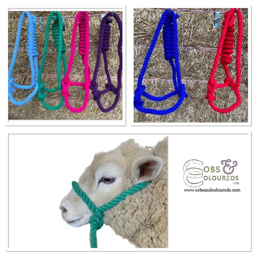 Sheep rope halter adjustable - rope,