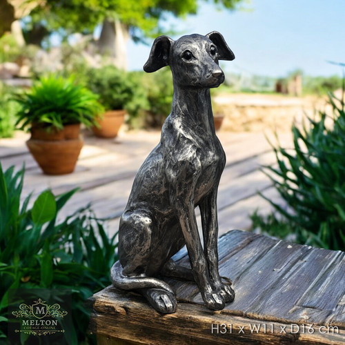 Silver broze black whippet - silver,