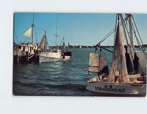 Postcard shrimp boats - shrimp, at