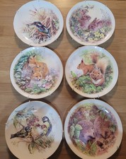 6 Vintage Bone China Wildlife Birds Plates Nicholas John Wall England Cottage