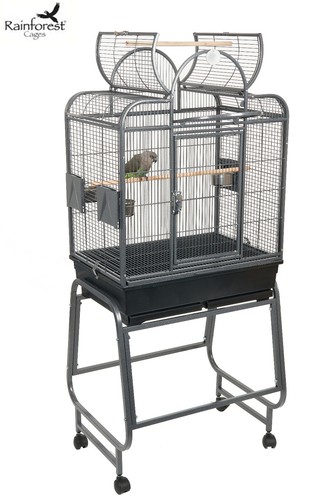 Rainforest antique santa - rainforest,
