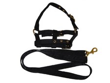 Mini Foal Headcollar + Lead