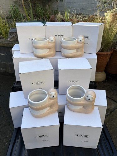 Sloth plant pot bundle - plant, new