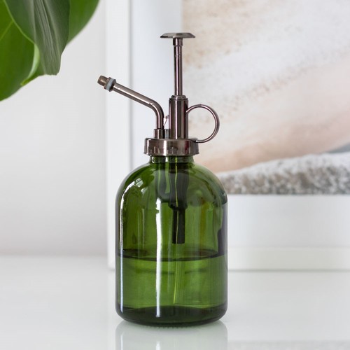 Green minimalist glass - minimalist, plant