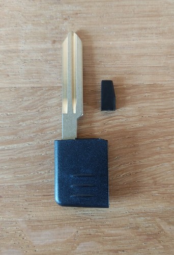 Brand new blank blade - new,