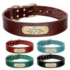 Personalised Pet Dog Collar