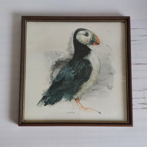 Vintage mads stage puffin - puffin, bird