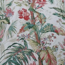 Vintage Warner Jungle