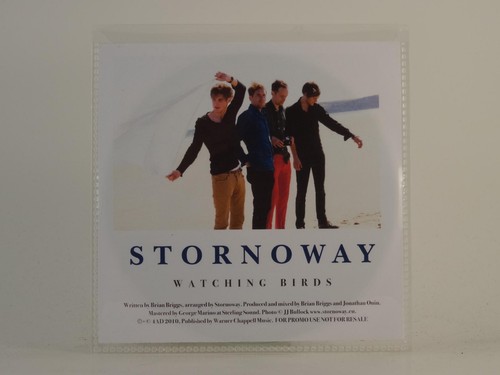 Stornoway watching birds - stornoway,