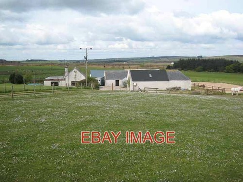 Photo gonar smallholding - photo,