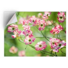 1x Vinyl Sticker Pink Blossom Dogwood Tree Nature #51685