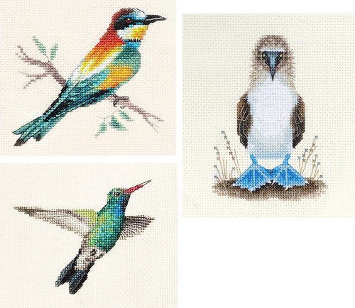 Bee eater humming bird - bee,