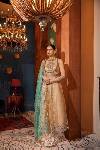 Pakistani dress with silk - pakistani,