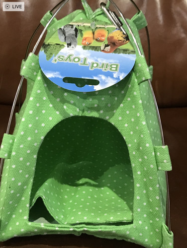 Parrot bird hammock - parrot,