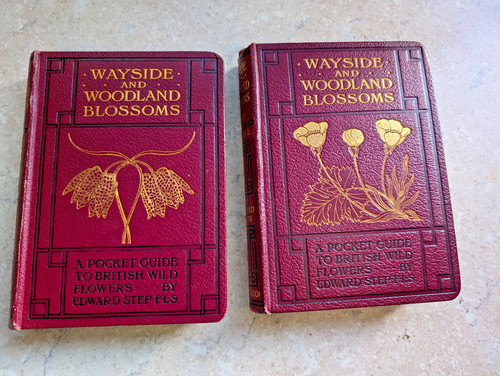 Wayside woodland 2 - &,
