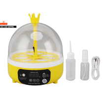 Mini Egg Incubator for Home
