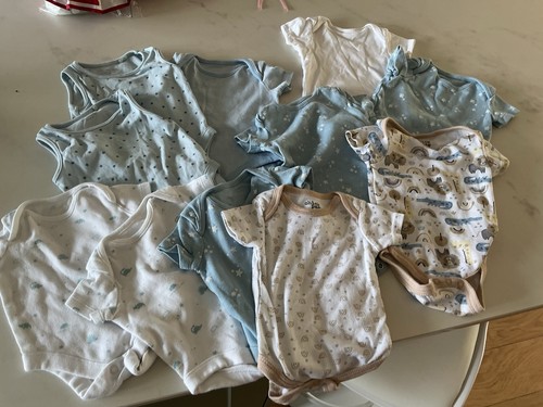 Age months body - 11,