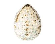 Alan Wallwork Studio Pottery