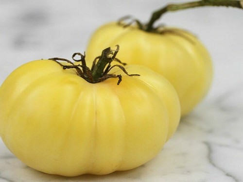 Tomato white beauty 40 seeds - tomato,