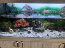 Aqua One Horizon Aquarium Fish Tank and Cabinet - 182L