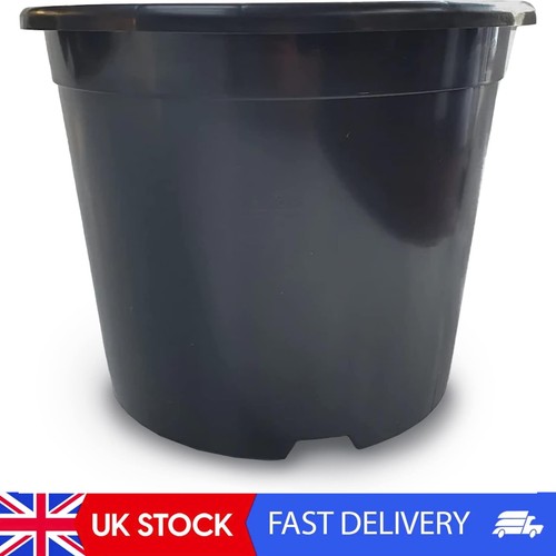 Conka garden outdoor plant - garden,