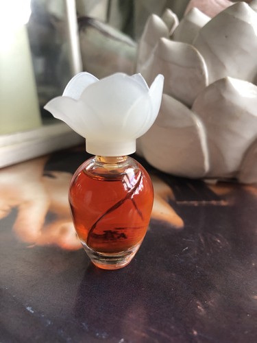 Karl lagerfeld chloe narcisse - chloe,