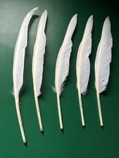 Feather Quill Pens Biro