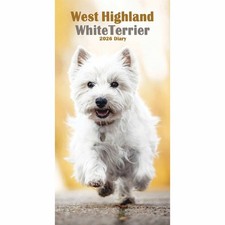 West Highland White Terrier