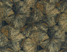 ZOFFANY CURTAIN FABRIC  DESIGN