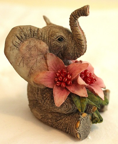 Tuskers love bunch - 'love, of