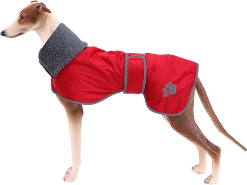 Geyecete dog winter - dog, coat
