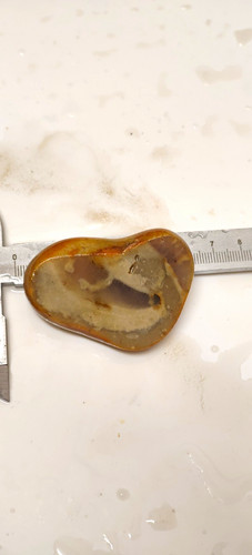 Polished natural agate - polished, slice