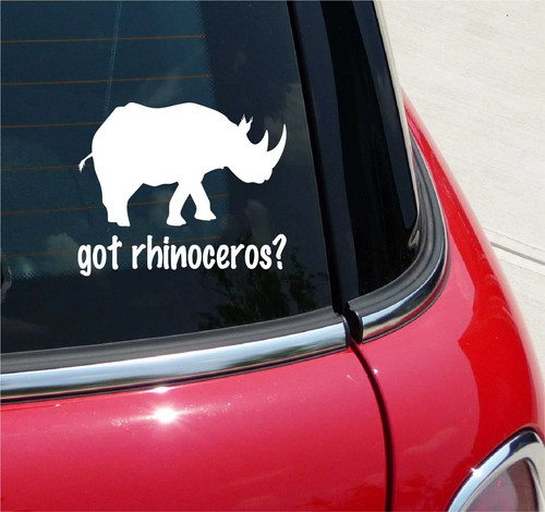 Got rhinoceros rhino zoo - got,