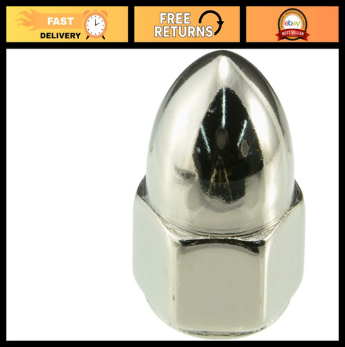 Acorn nut pack - acorn, of
