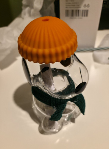 Starbucks peanuts snoopy - starbucks, x