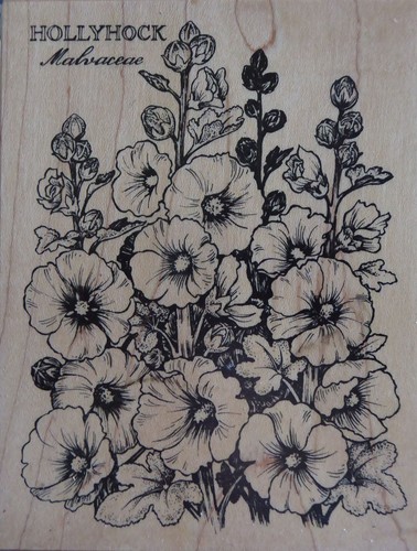 Motif stamp rubber stamp