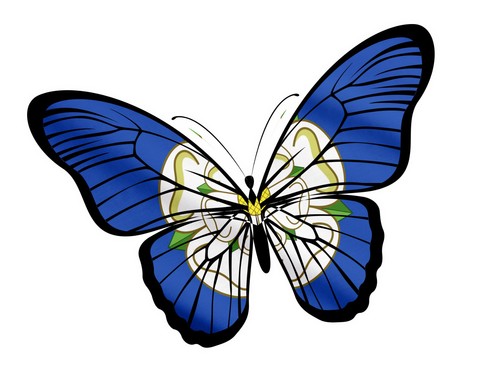 Beautiful butterfly design - butterfly, &
