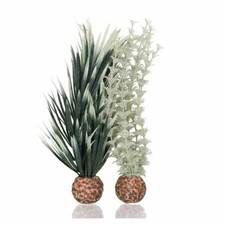 OASE BIORB AMBULIA DECORATION