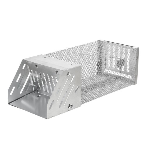 Squirrel trap humane - trap, kill