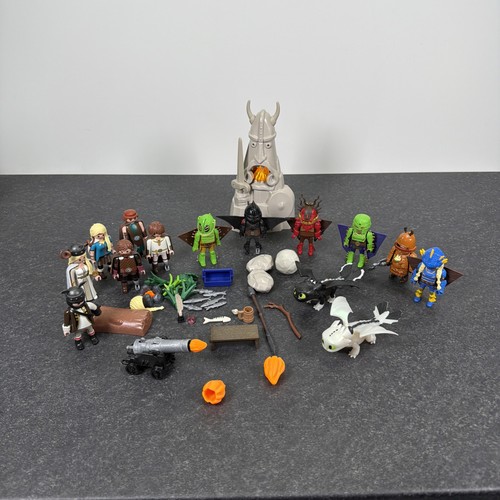 Playmobil how train your - playmobil, to
