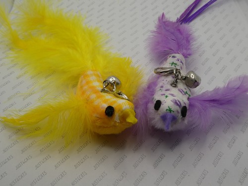 Cat kitten toy - cat,