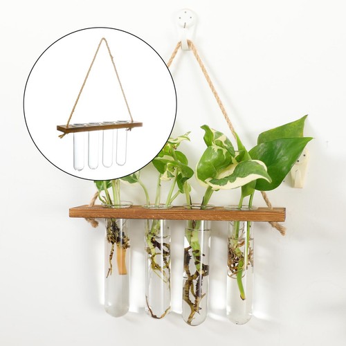 Test tubes hanging - test, vase