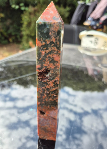 16cm dragon blood - 16cm,
