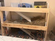 Indoor wooden guinea pig cage - guinea,