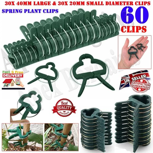 Garden plant clips - plant,