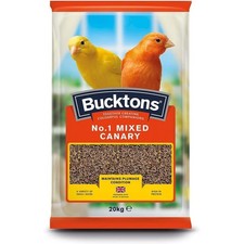 Bucktons mixed canary - no.1,