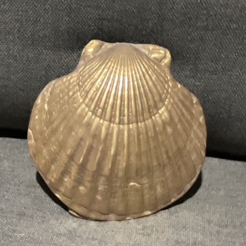 Brass shell theme door - theme, knocker