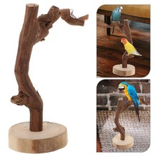 Parrot Stand Standing Branch