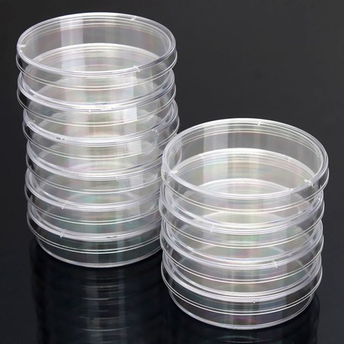 10x plastic sterile petri - plastic,