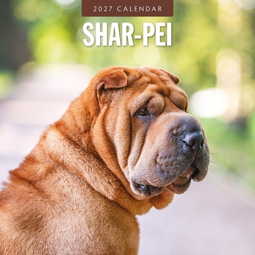 Shar pei 2027 square wall - 2027,